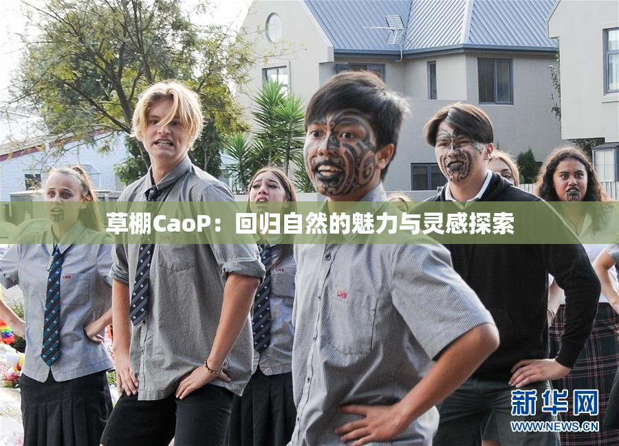 草棚CaoP：回归自然的魅力与灵感探索