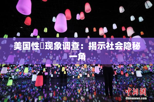 美国性婬现象调查：揭示社会隐秘一角