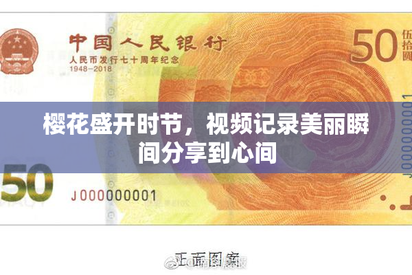 樱花盛开时节，视频记录美丽瞬间分享到心间