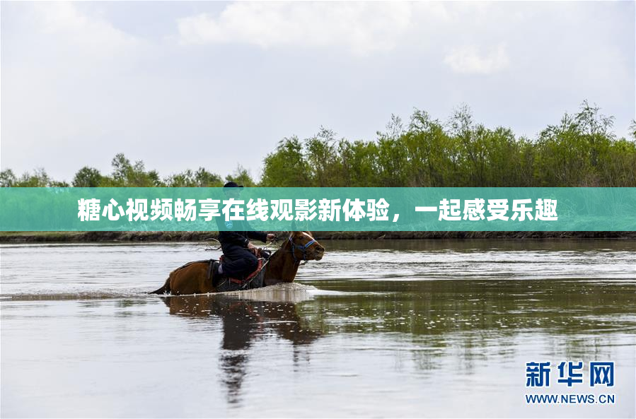 糖心视频畅享在线观影新体验，一起感受乐趣