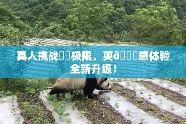 真人挑战❌‌极限，爽🔞感体验全新升级！