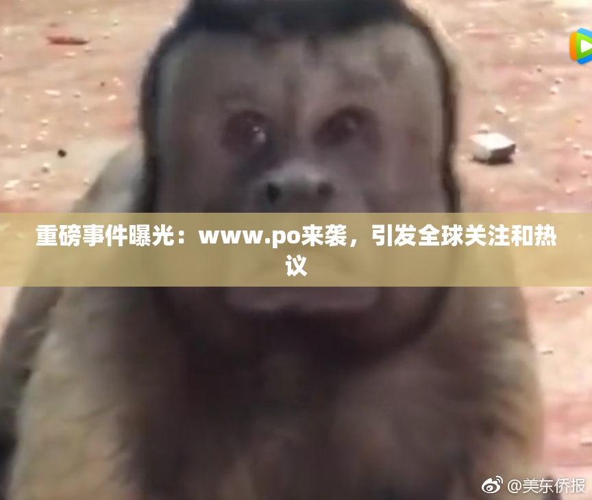 重磅事件曝光：www.ро来袭，引发全球关注和热议