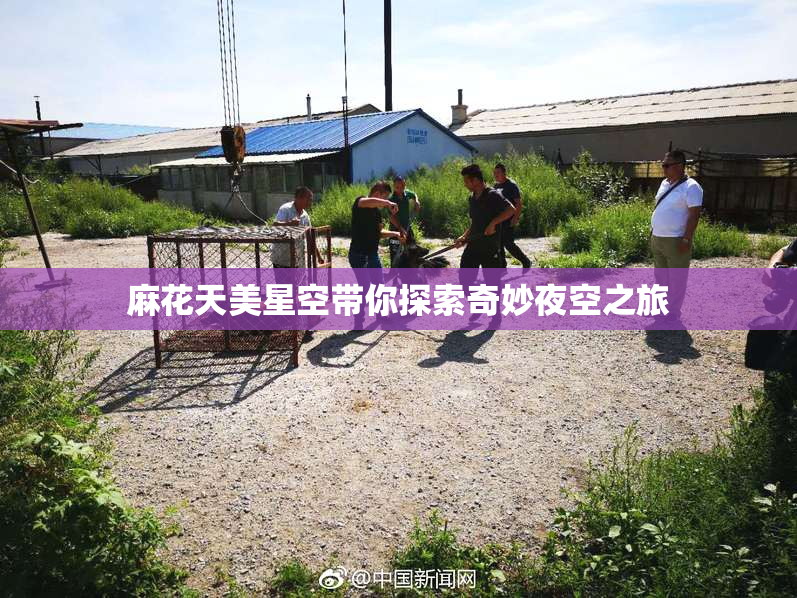 麻花天美星空带你探索奇妙夜空之旅