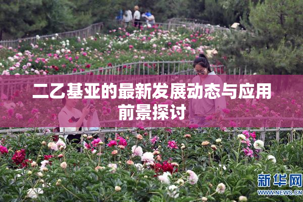 二乙基亚的最新发展动态与应用前景探讨