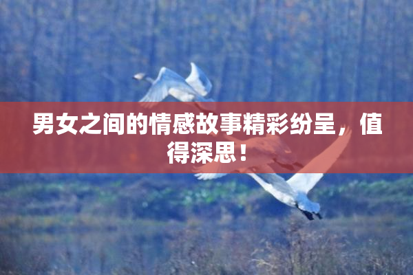 男女之间的情感故事精彩纷呈，值得深思！