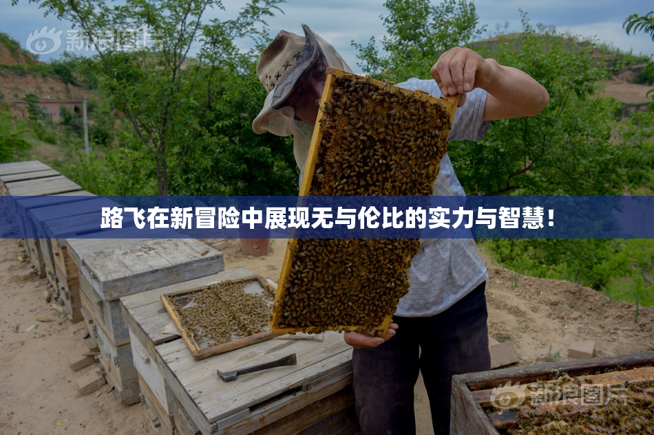 路飞在新冒险中展现无与伦比的实力与智慧！