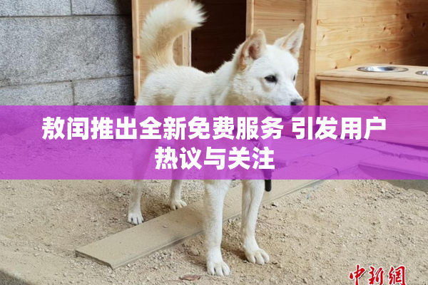 敖闰推出全新免费服务 引发用户热议与关注