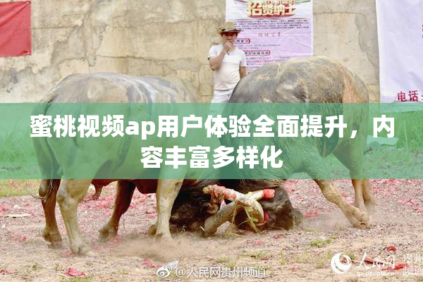 蜜桃视频ap用户体验全面提升，内容丰富多样化