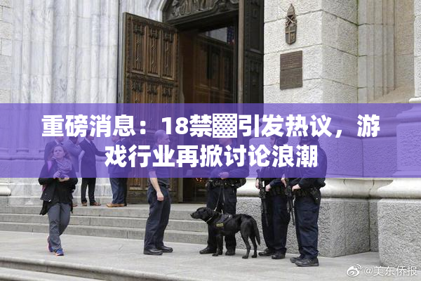 重磅消息：18禁▓引发热议，游戏行业再掀讨论浪潮