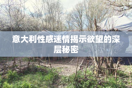意大利性感迷情揭示欲望的深层秘密