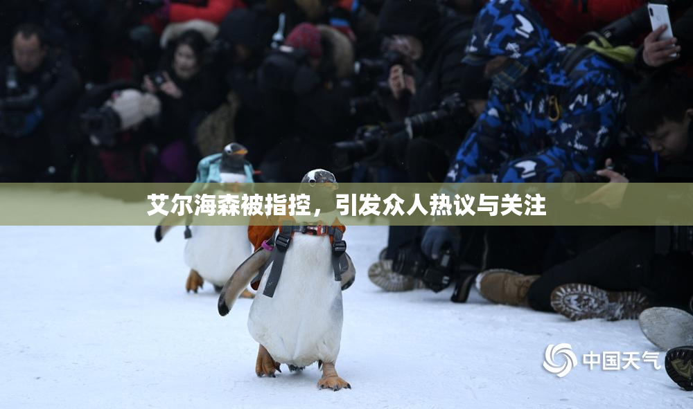 艾尔海森被指控，引发众人热议与关注
