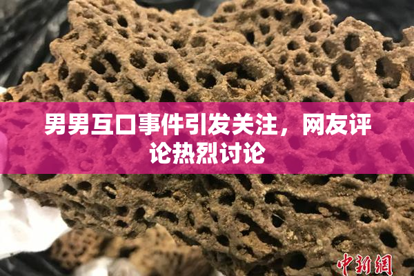 男男互口事件引发关注，网友评论热烈讨论