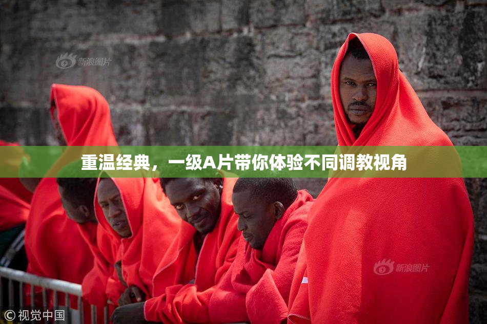 重温经典，一级A片带你体验不同调教视角