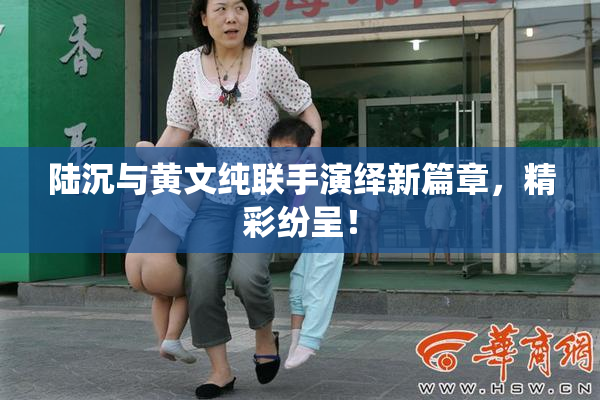 陆沉与黄文纯联手演绎新篇章，精彩纷呈！