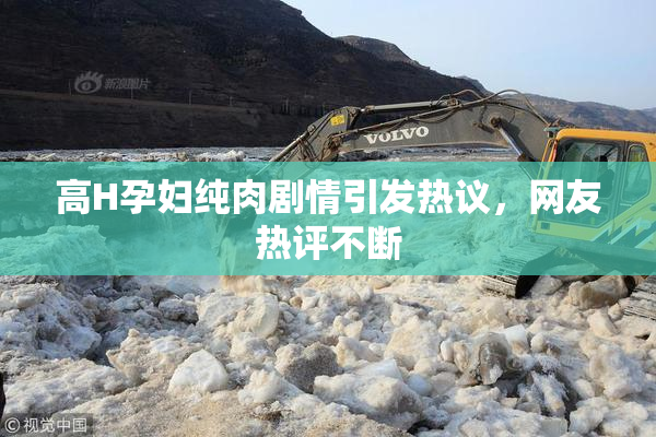 高H孕妇纯肉剧情引发热议，网友热评不断