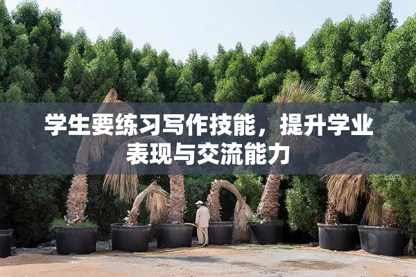 学生要练习写作技能，提升学业表现与交流能力