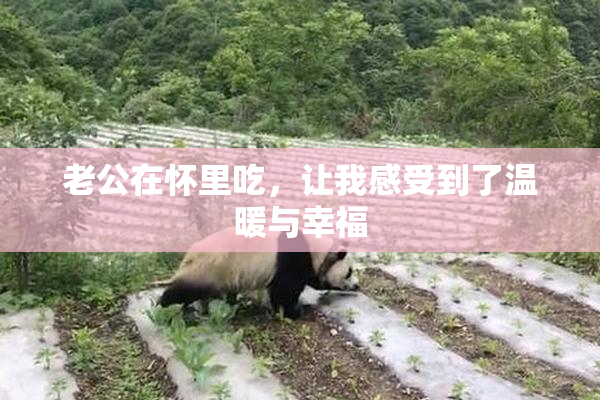 老公在怀里吃，让我感受到了温暖与幸福
