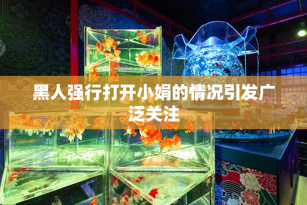 黑人强行打开小娟的情况引发广泛关注