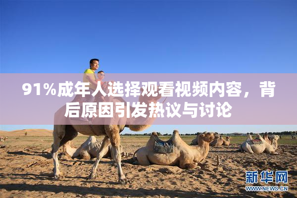 91%成年人选择观看视频内容，背后原因引发热议与讨论
