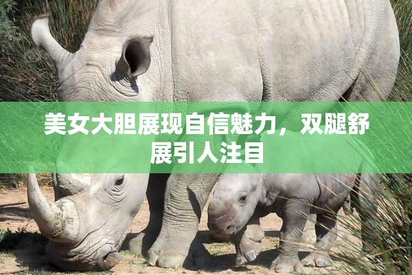 美女大胆展现自信魅力，双腿舒展引人注目
