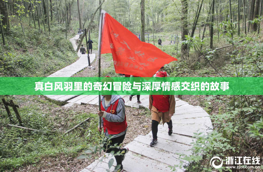真白风羽里的奇幻冒险与深厚情感交织的故事