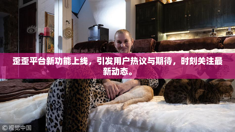 歪歪平台新功能上线，引发用户热议与期待，时刻关注最新动态。