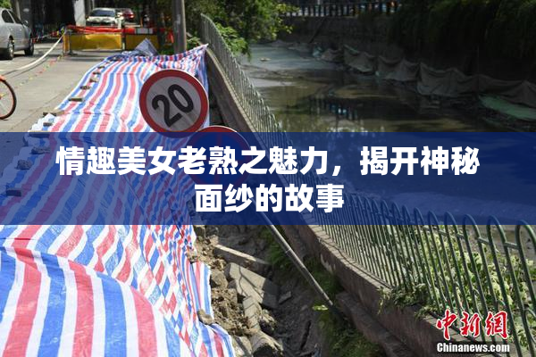 情趣美女老熟之魅力，揭开神秘面纱的故事