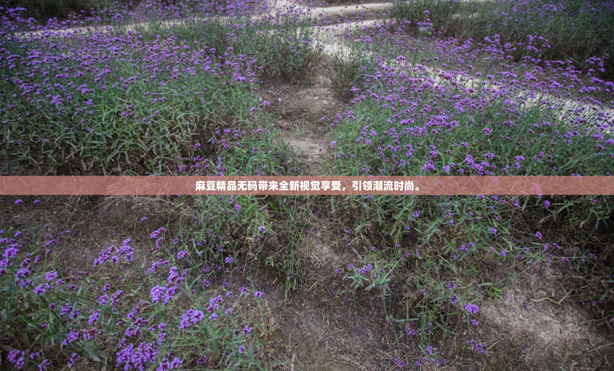 麻豆精品无码带来全新视觉享受，引领潮流时尚。