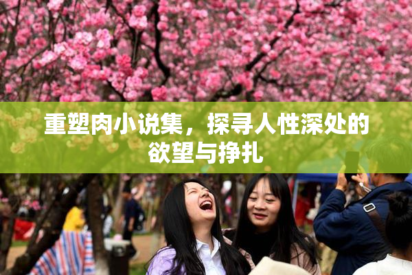 重塑肉小说集，探寻人性深处的欲望与挣扎
