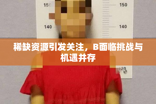 稀缺资源引发关注，B面临挑战与机遇并存