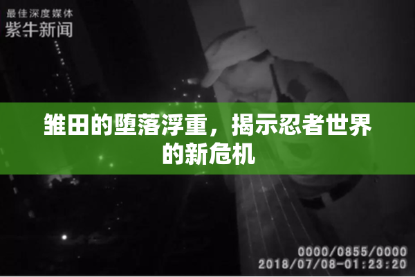 雏田的堕落浮重，揭示忍者世界的新危机