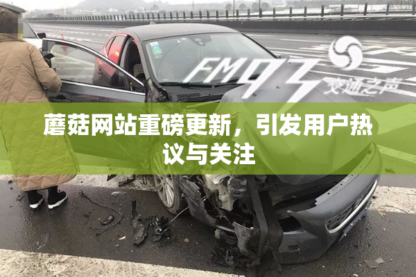 蘑菇网站重磅更新，引发用户热议与关注