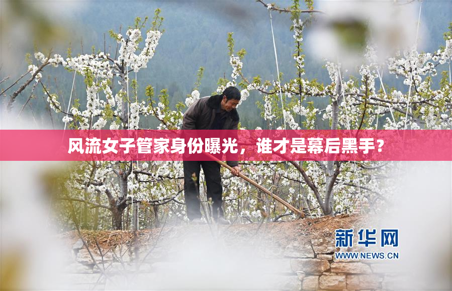 风流女子管家身份曝光，谁才是幕后黑手？