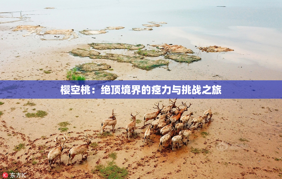 樱空桃：绝顶境界的痉力与挑战之旅