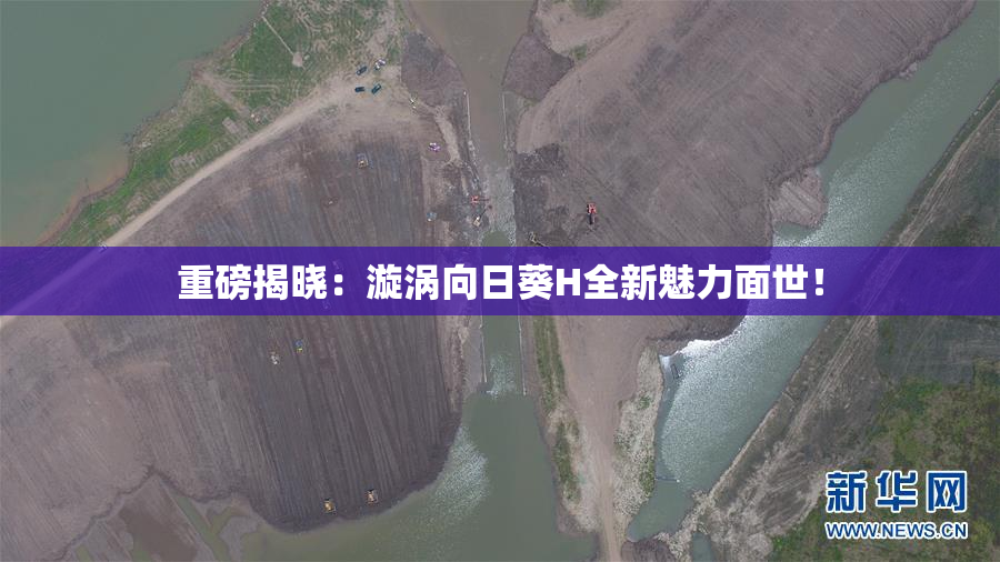 重磅揭晓：漩涡向日葵H全新魅力面世！