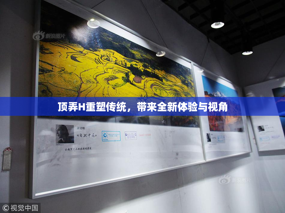 顶弄H重塑传统，带来全新体验与视角