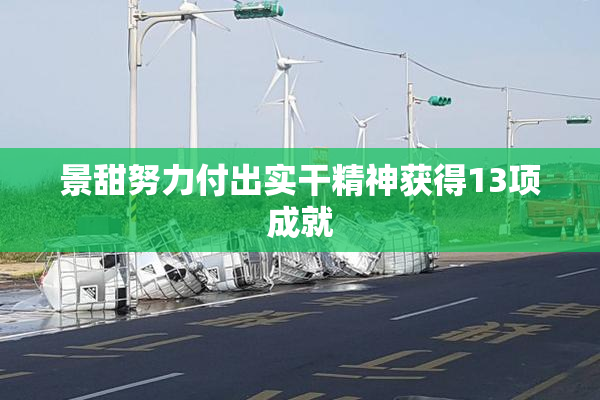景甜努力付出实干精神获得13项成就