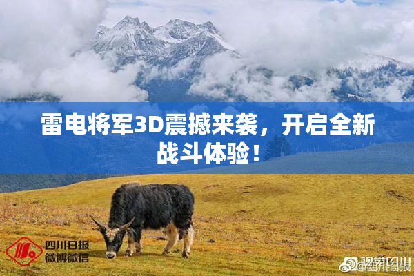 雷电将军3D震撼来袭，开启全新战斗体验！