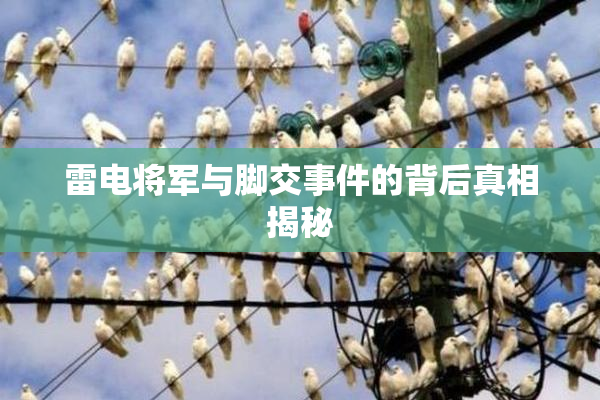 雷电将军与脚交事件的背后真相揭秘