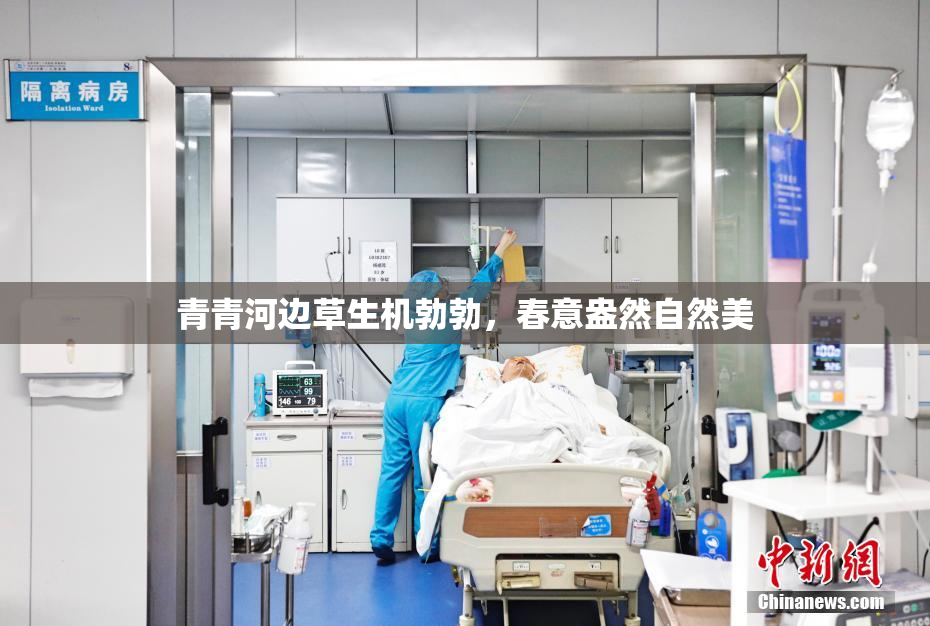 青青河边草生机勃勃，春意盎然自然美