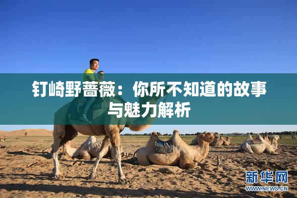 钉崎野蔷薇：你所不知道的故事与魅力解析