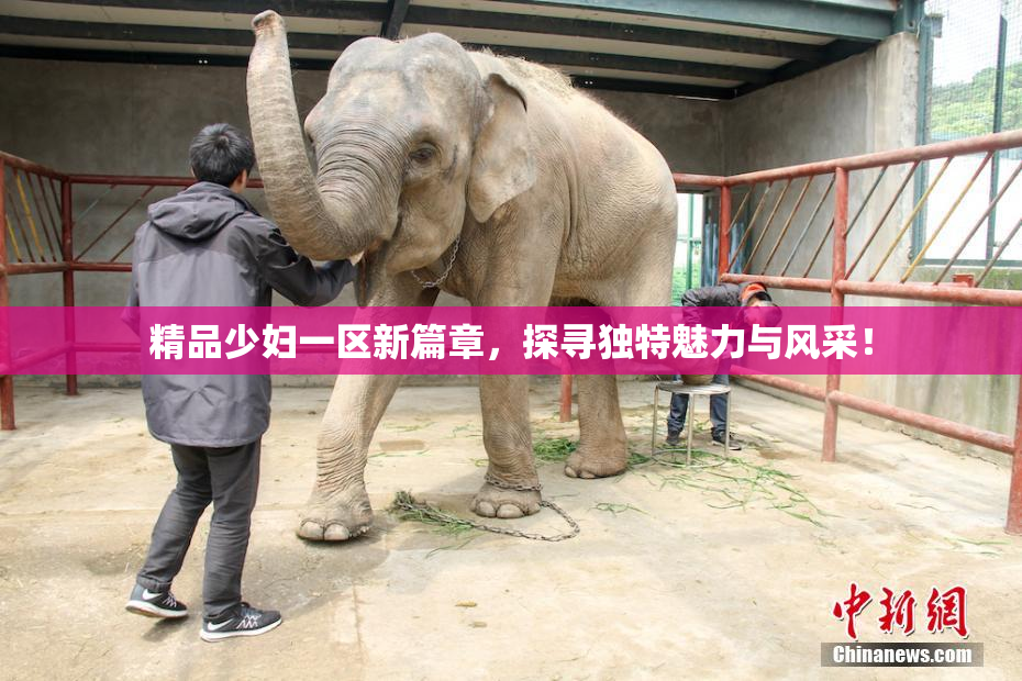精品少妇一区新篇章，探寻独特魅力与风采！