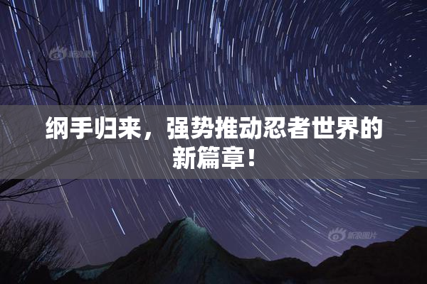 纲手归来，强势推动忍者世界的新篇章！