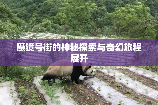 魔镜号街的神秘探索与奇幻旅程展开