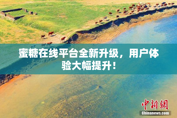 蜜糖在线平台全新升级，用户体验大幅提升！