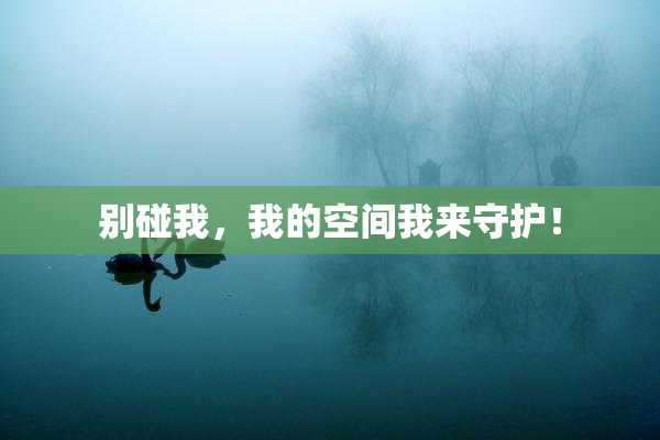 别碰我，我的空间我来守护！