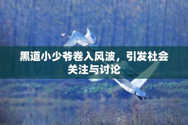 黑道小少爷卷入风波，引发社会关注与讨论