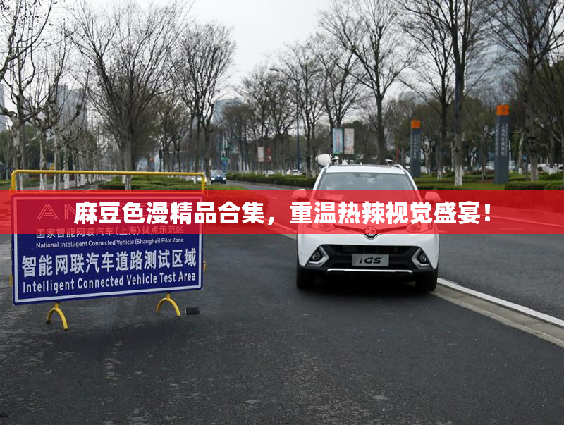 麻豆色漫精品合集，重温热辣视觉盛宴！