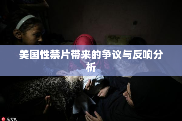 美国性禁片带来的争议与反响分析