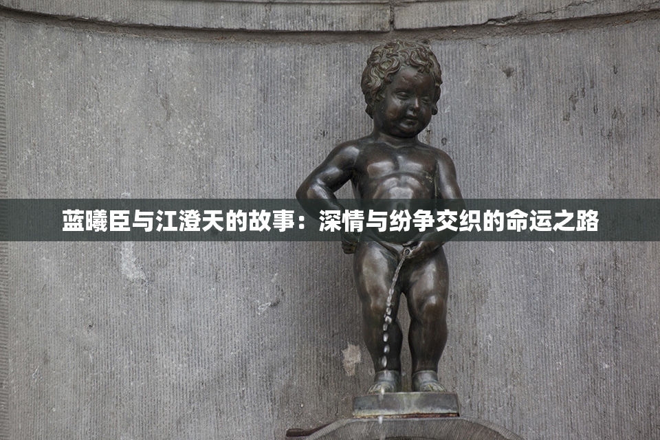 蓝曦臣与江澄天的故事：深情与纷争交织的命运之路